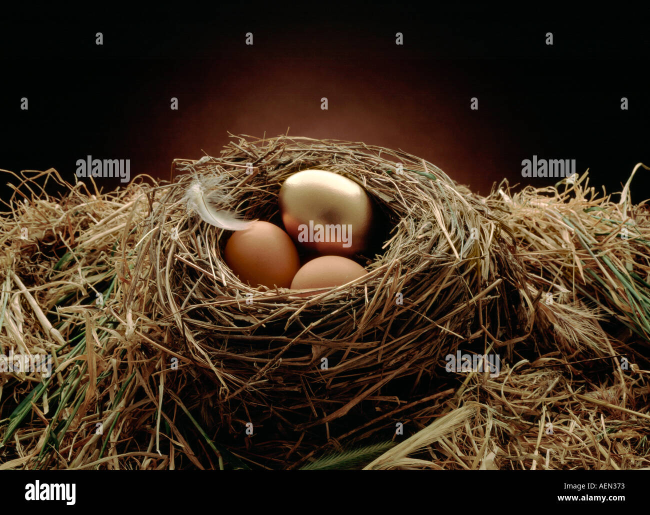 Golden egg in nest, nest egg Stock Photo Alamy