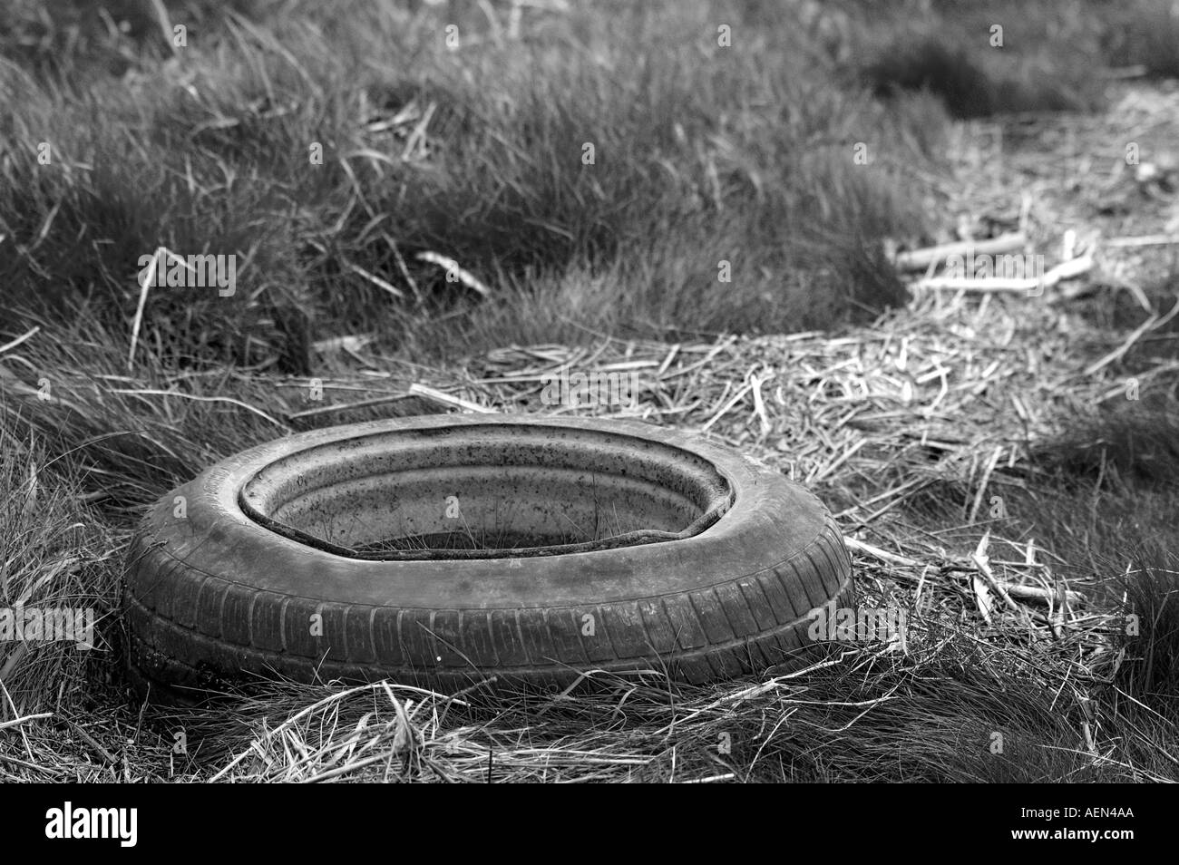 Abandoned car wheel and tyre Stock Photo - Alamy