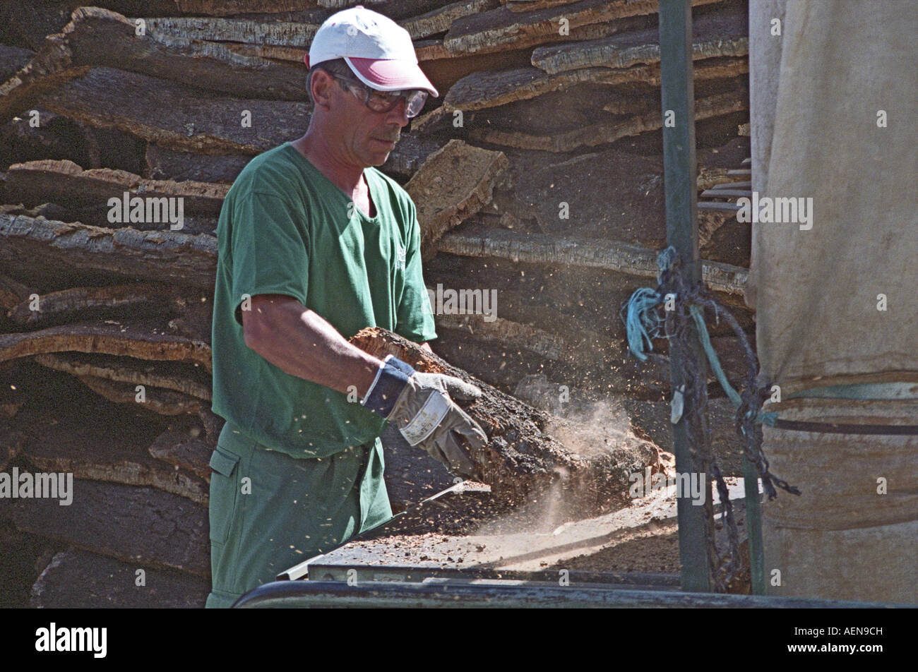 Cutting cork oak tree bark. Amorim cork production plant. Alentejo ...