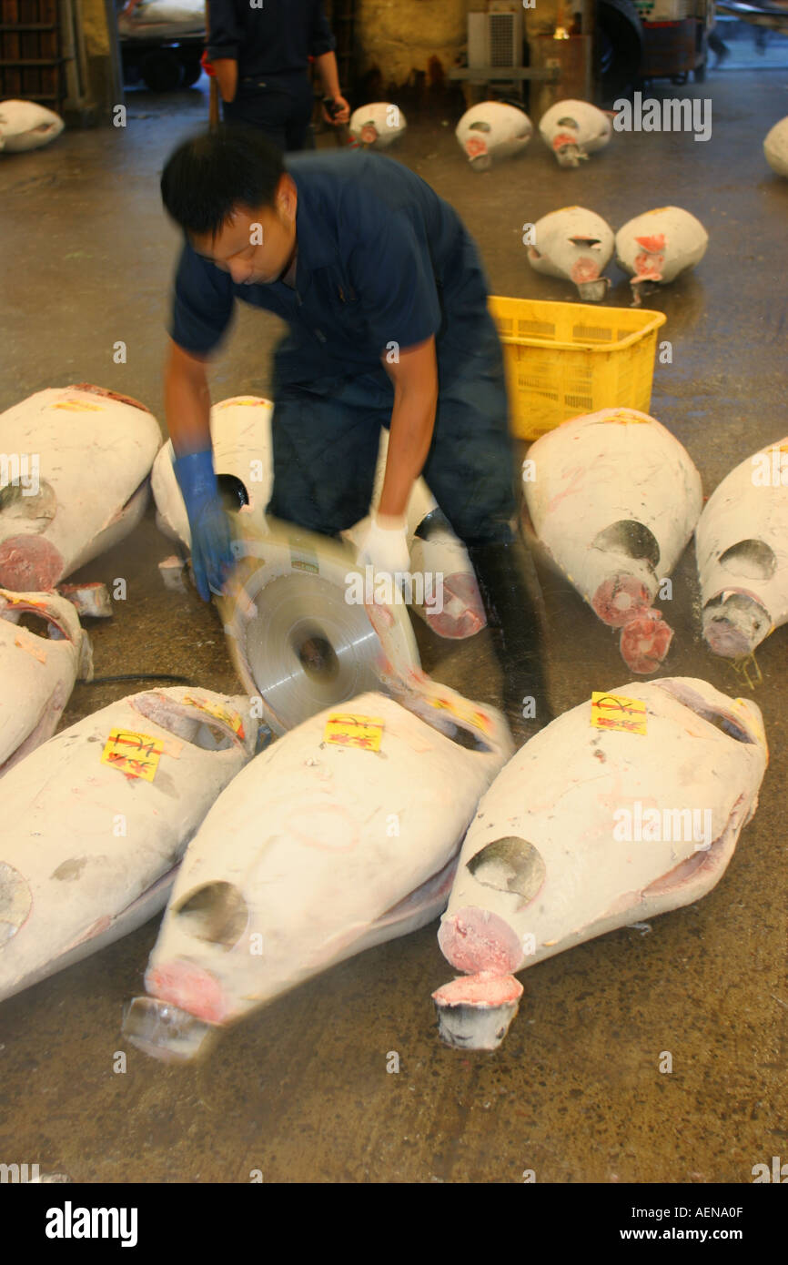 Tuna Auction Tsukiji Fish Market Tokyo Japan Stock Photo - Alamy