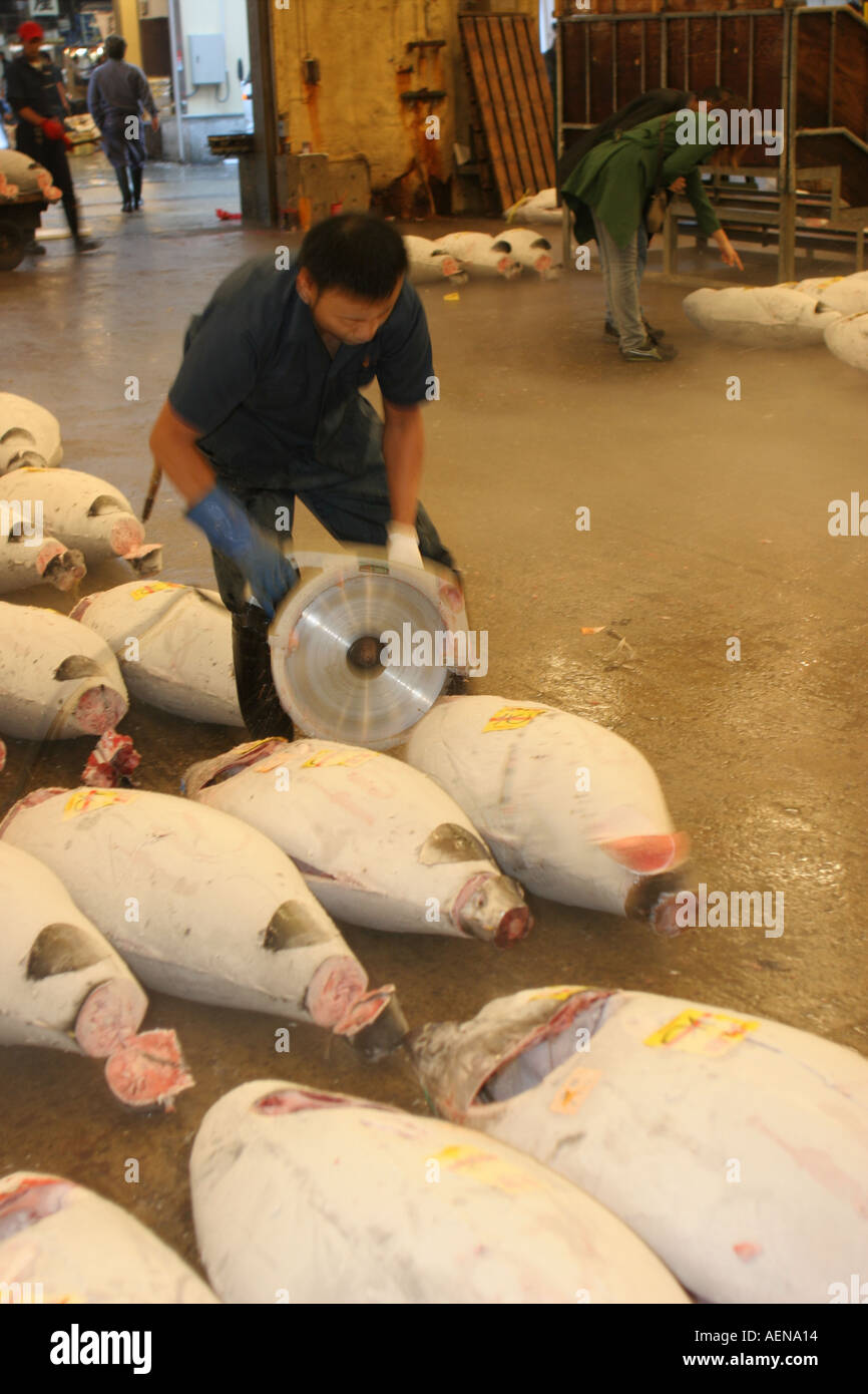 Tuna Auction Tsukiji Fish Market Japan Tokyo Stock Photo Alamy