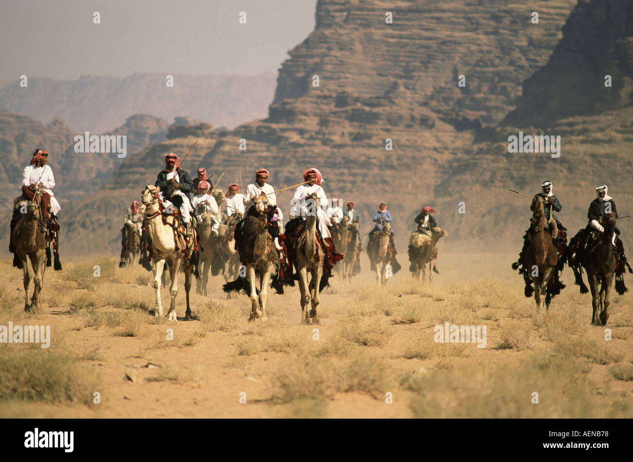 Bedouin tribesmen on their camels in Wadi Rum Jordan Stock Photo