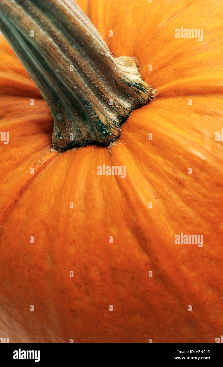 pumpkin detail Stock Photo