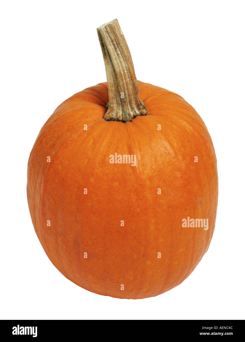 pumpkin on white background Stock Photo