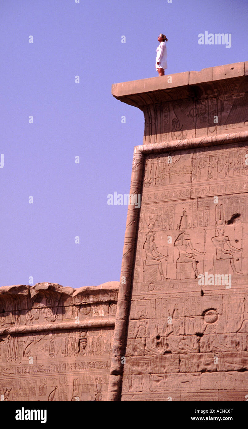 JACQUARD  SCARF TEMPLES OF DENDARA