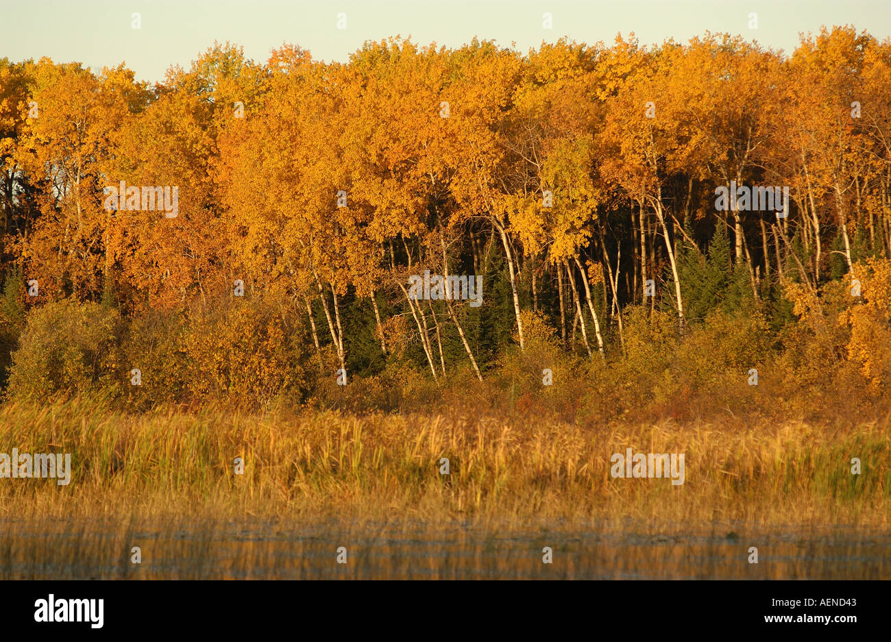 Lake Autumn Colors Stock Photo - Alamy