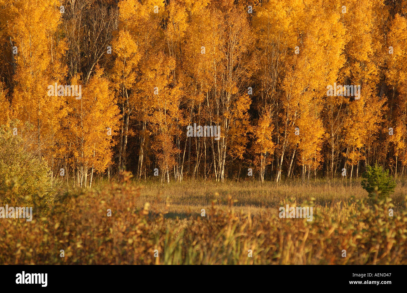Lake Autumn Colors Stock Photo - Alamy
