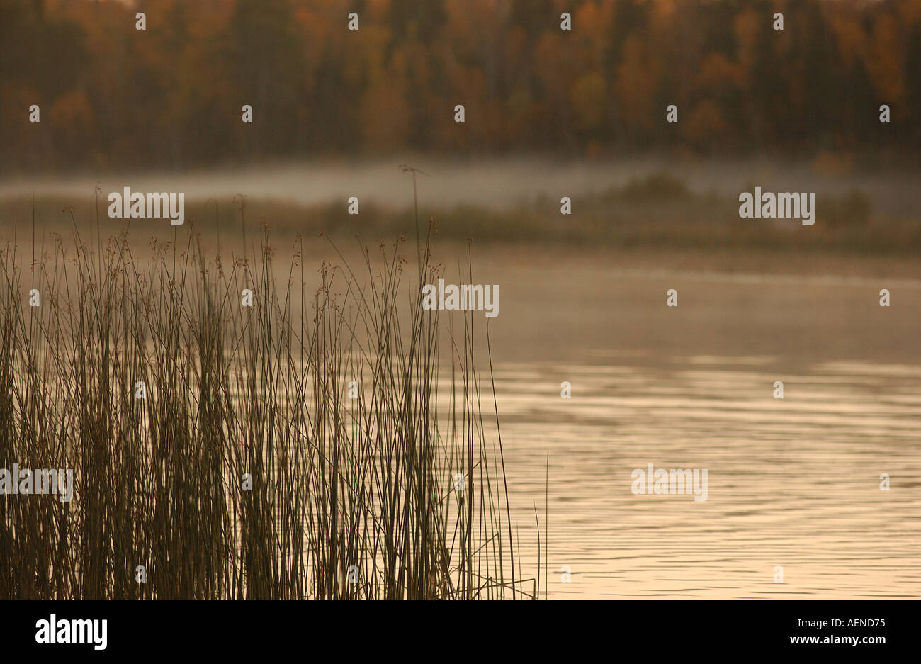 Lake Autumn Colors Stock Photo - Alamy
