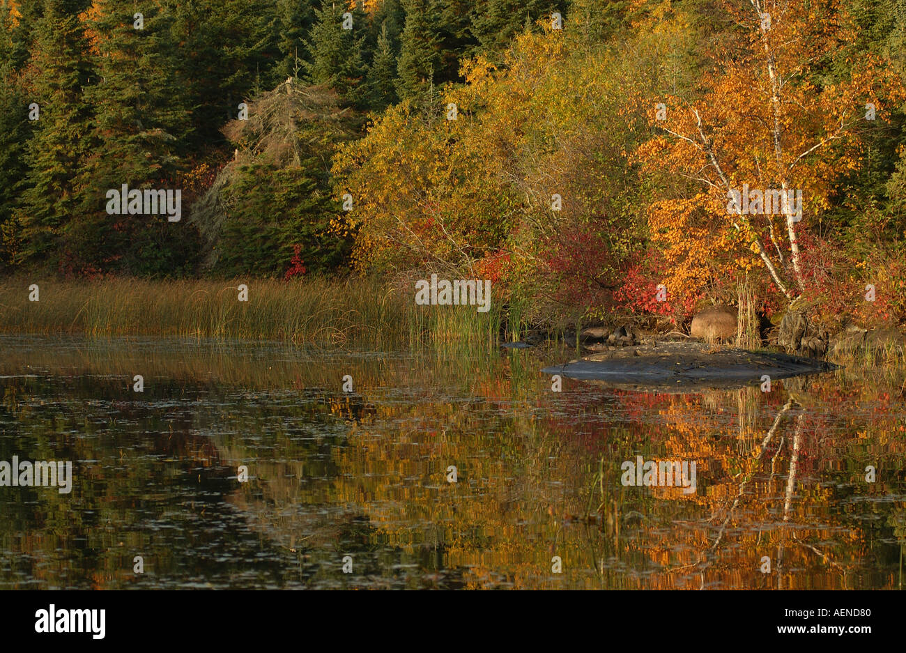 Lake Autumn Colors Stock Photo - Alamy