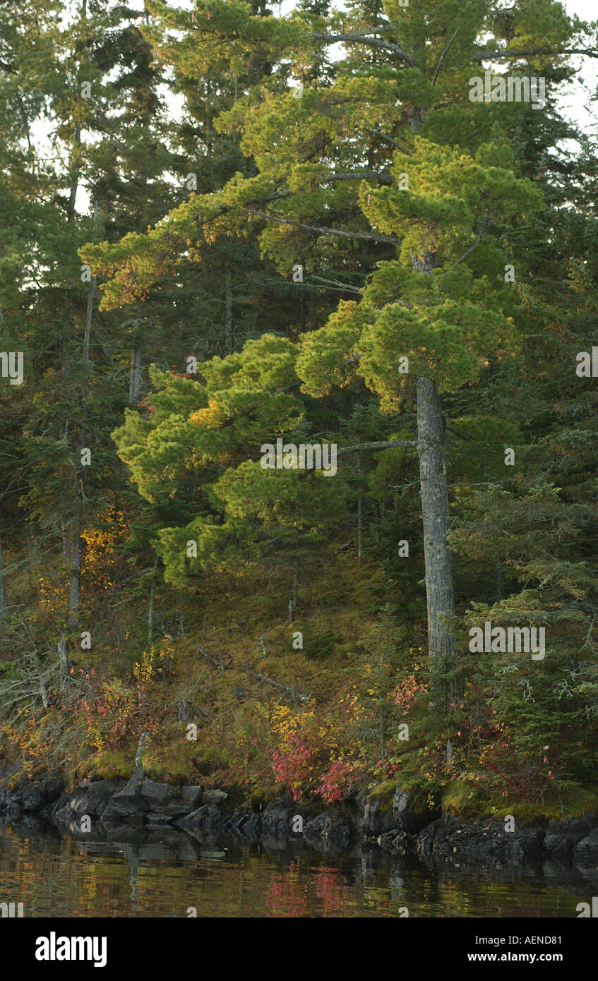 Lake Autumn Colors Stock Photo - Alamy