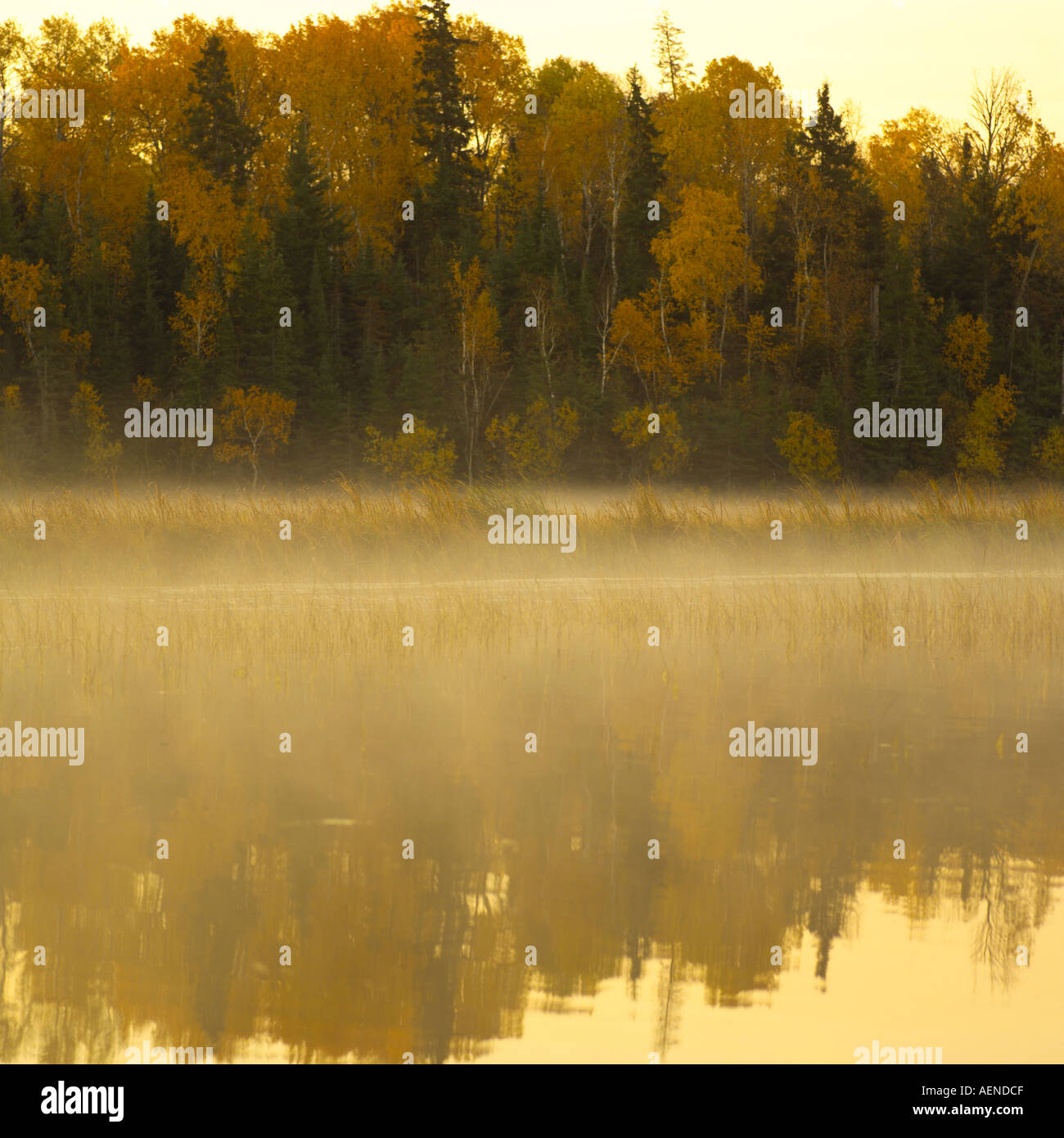 Lake Autumn Colors Stock Photo - Alamy