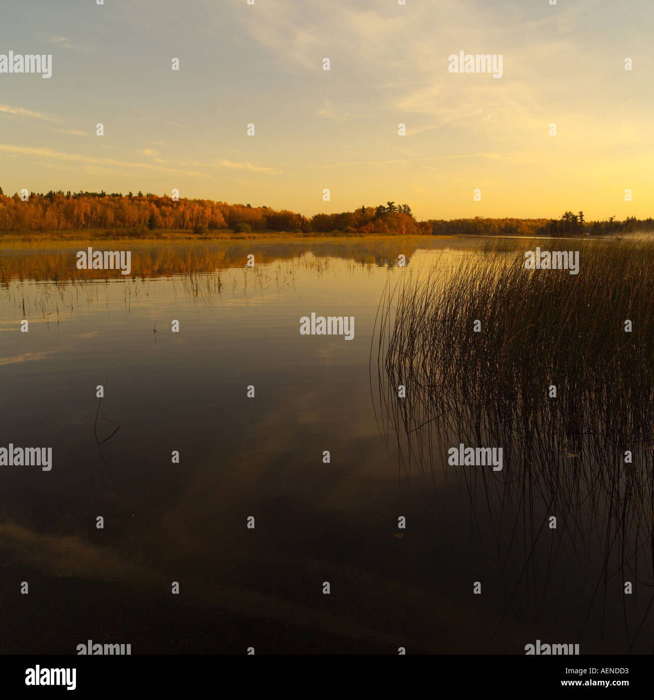 Lake Autumn Colors Stock Photo - Alamy