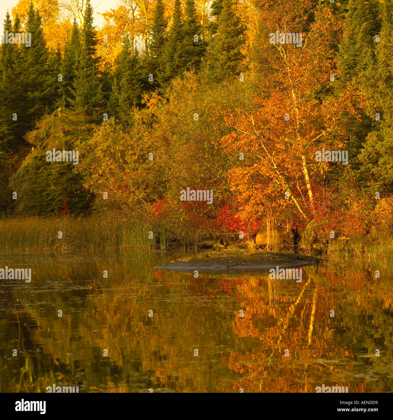 Lake Autumn Colors Stock Photo - Alamy
