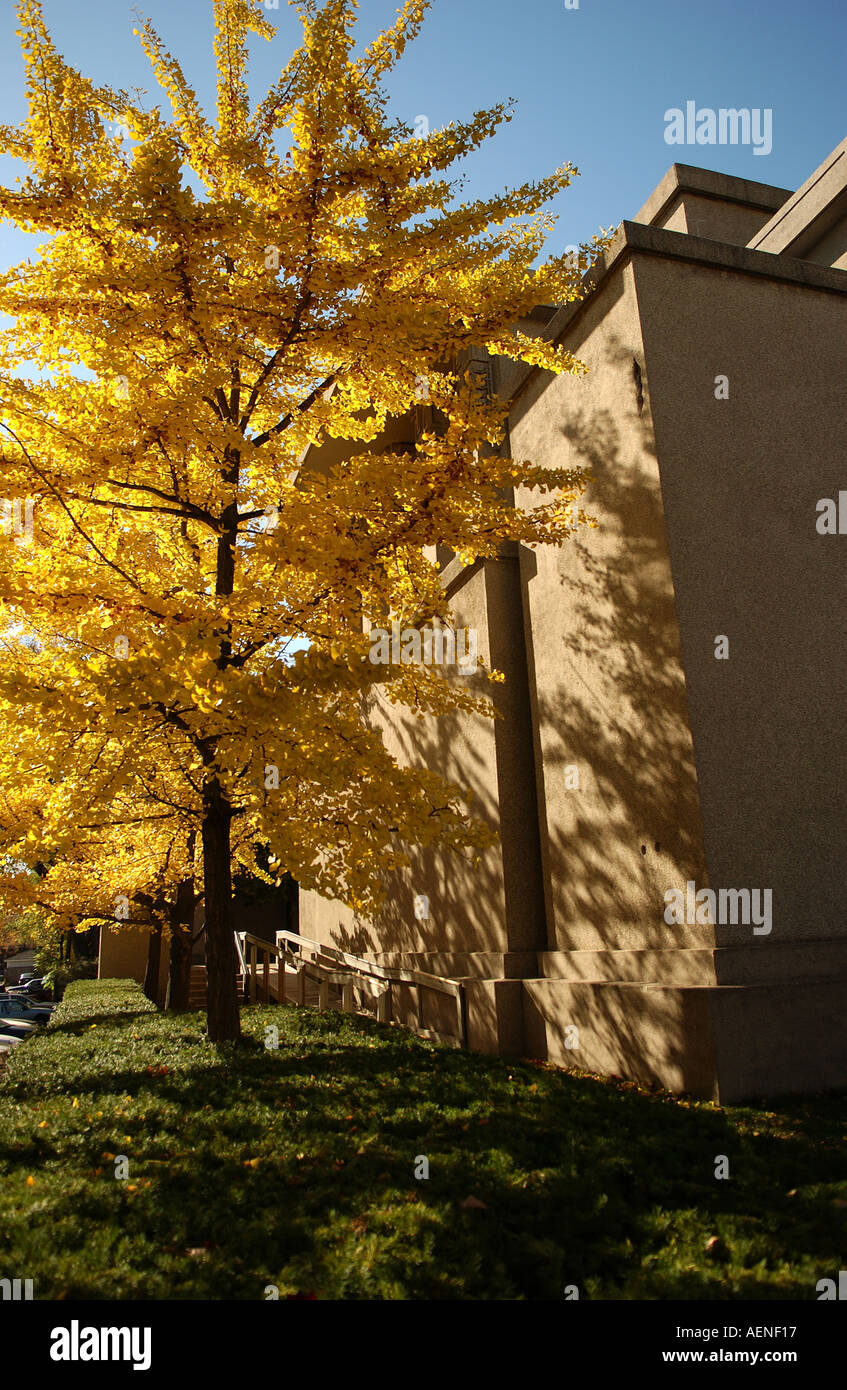 Chicago suburb of Oak Park Stock Photo Alamy