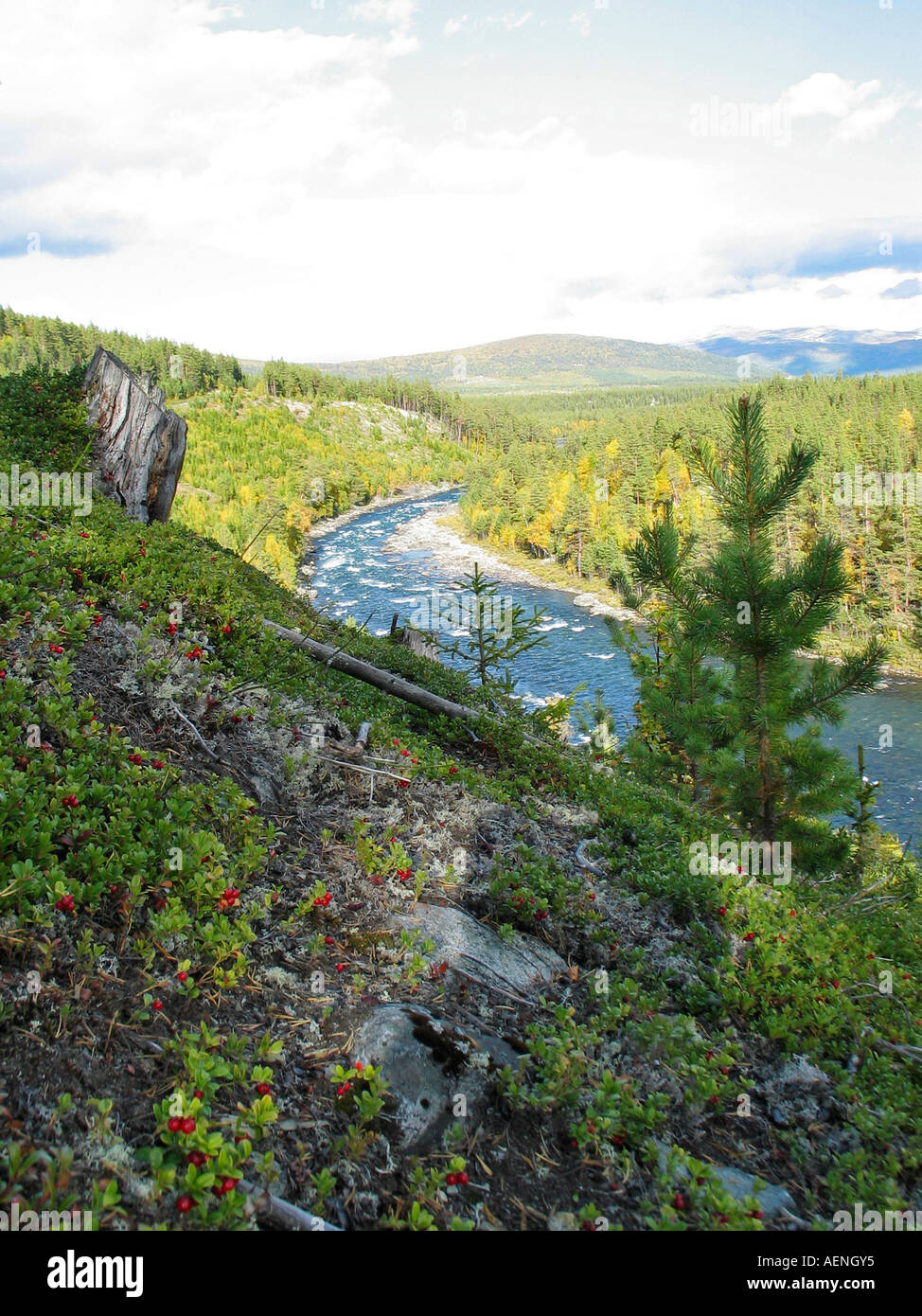 The turning of the seasons Indian summer, Jotunheimen, Norway Stock Photo