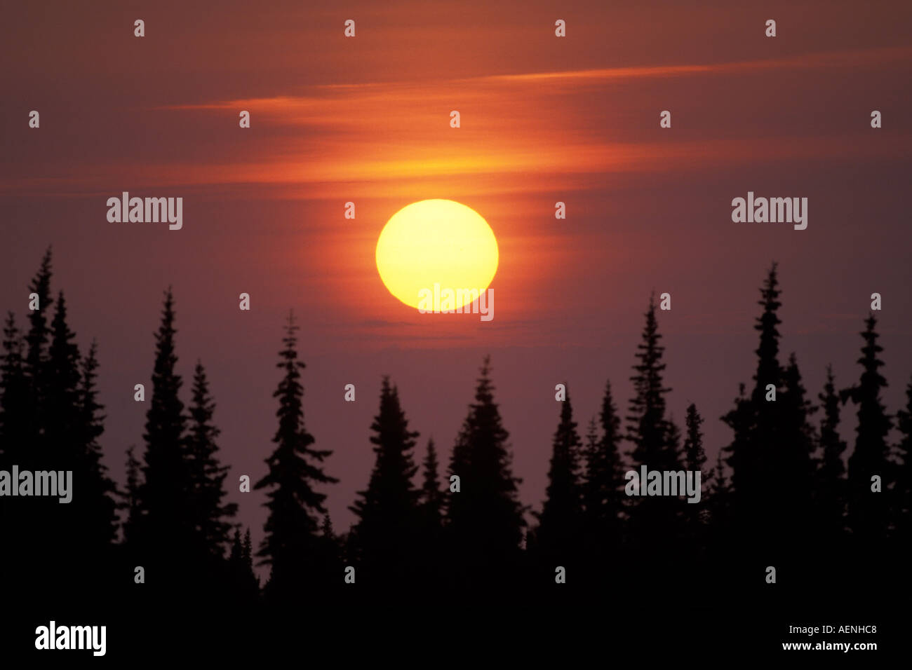 Kenai peninsula silhouette hi-res stock photography and images - Alamy
