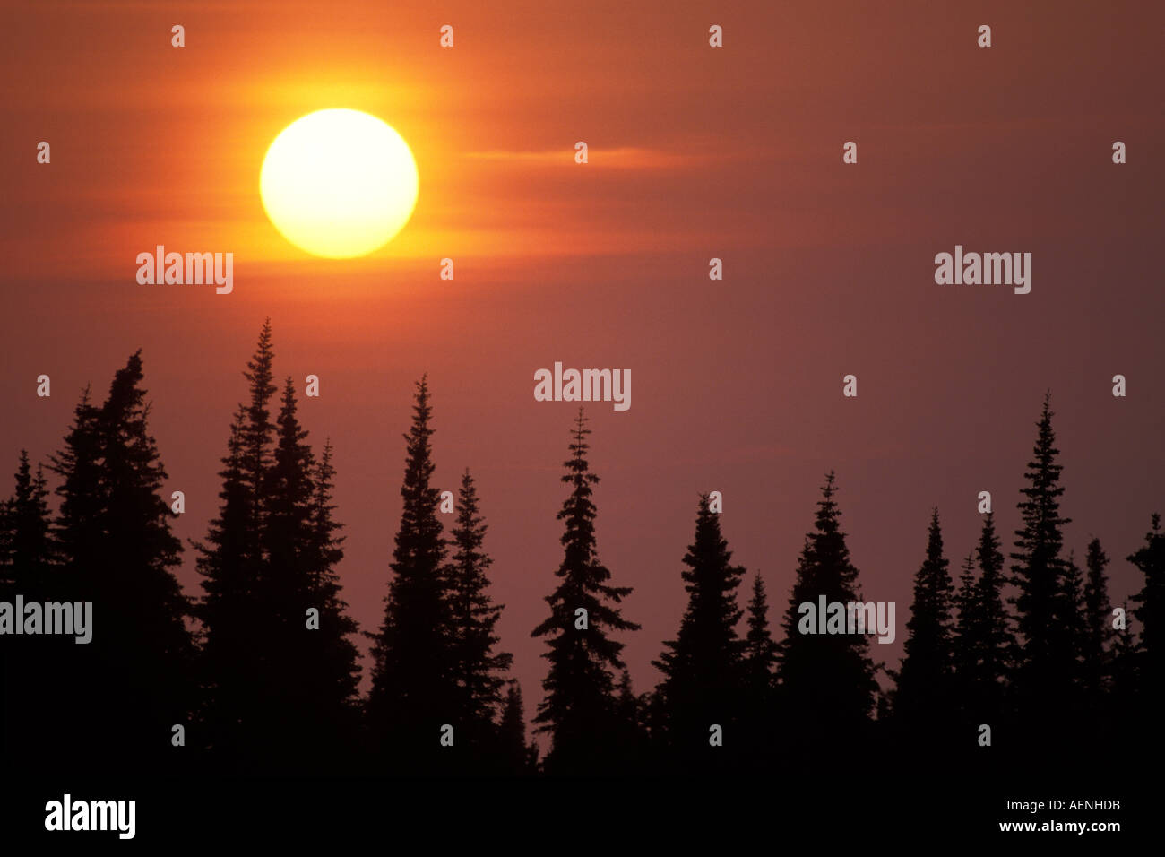 Kenai peninsula silhouette hi-res stock photography and images - Alamy