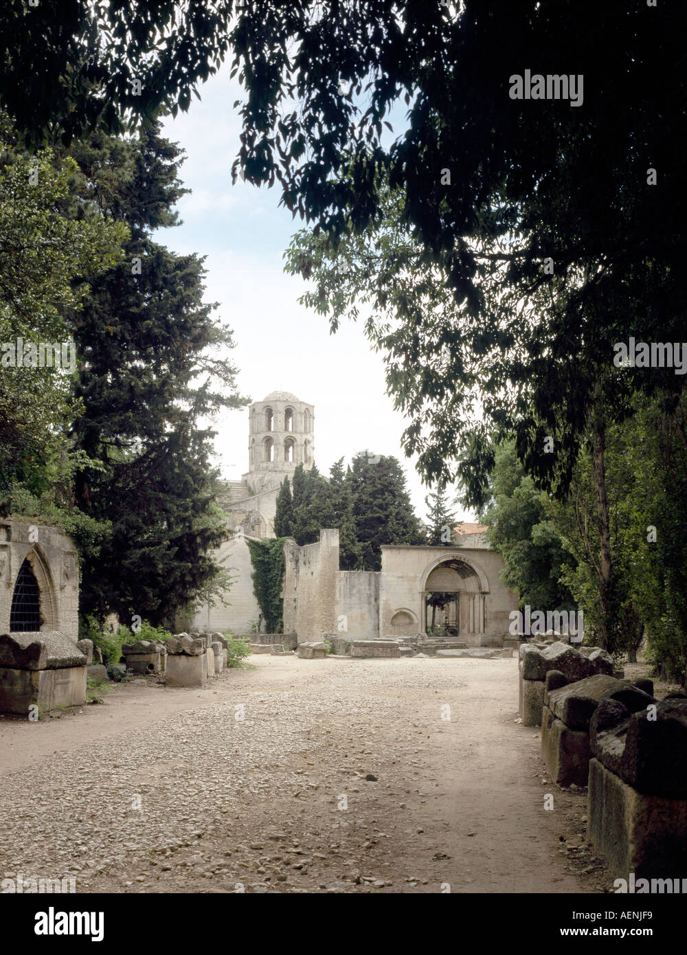 Arles, Les Alyscamps mit St-Honorat, Stock Photo