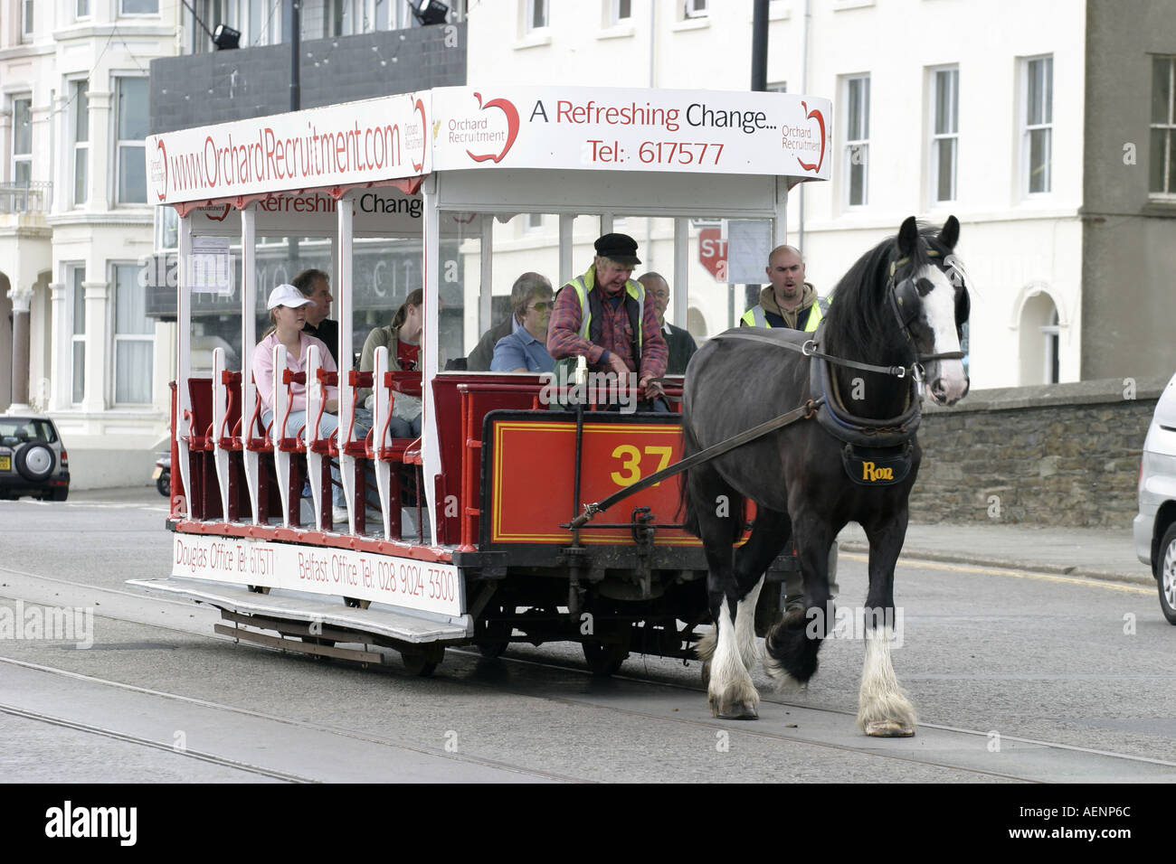Tram trams horse hi-res stock photography and images - Alamy