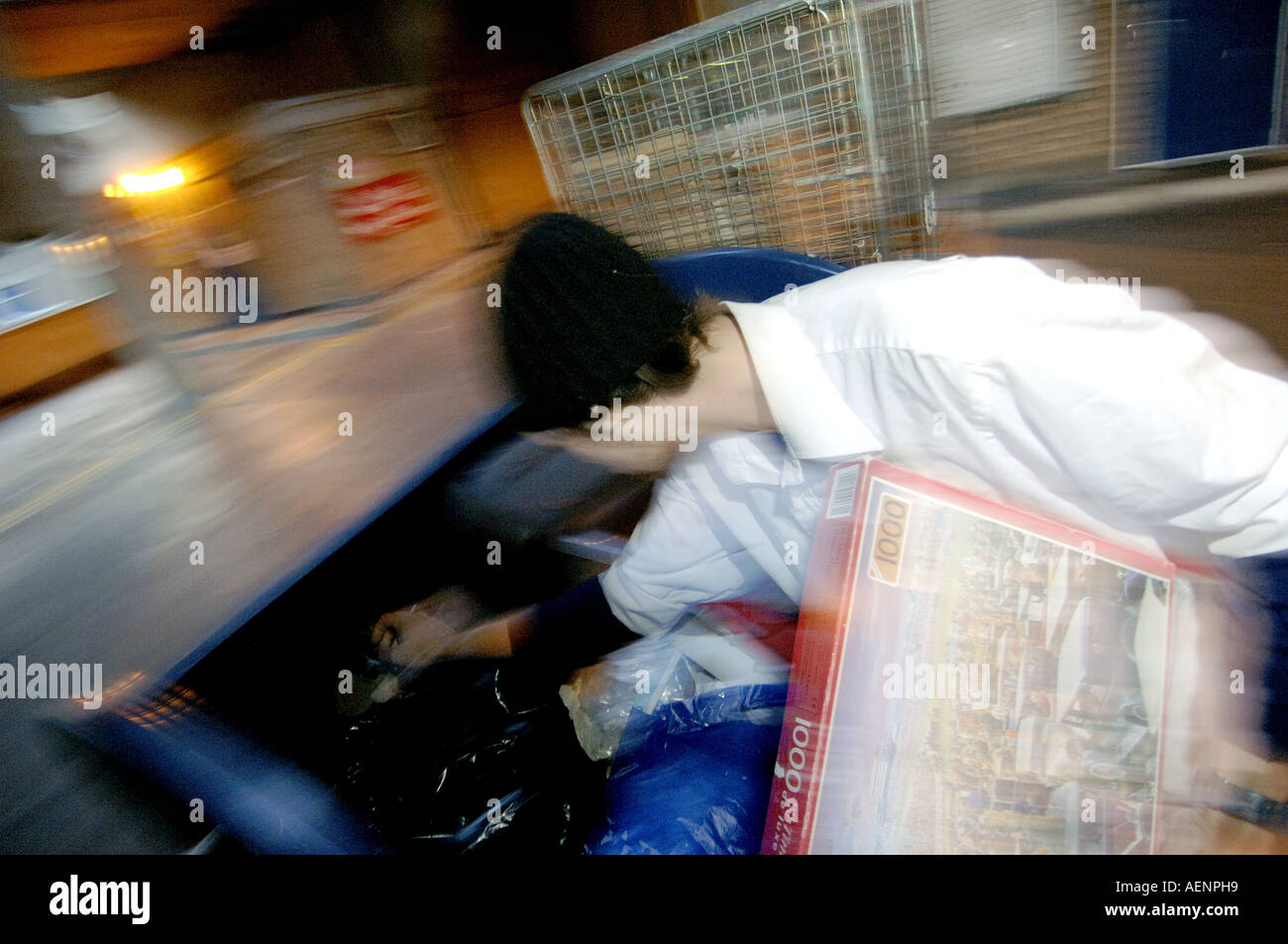 Raiding a garbage bin Stock Photo Alamy