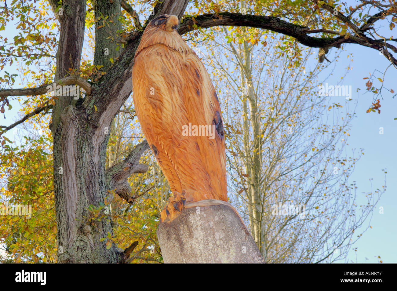 Sculpture of Eagle Entrance to Neuadd Bridge Caravan Park Llanfair