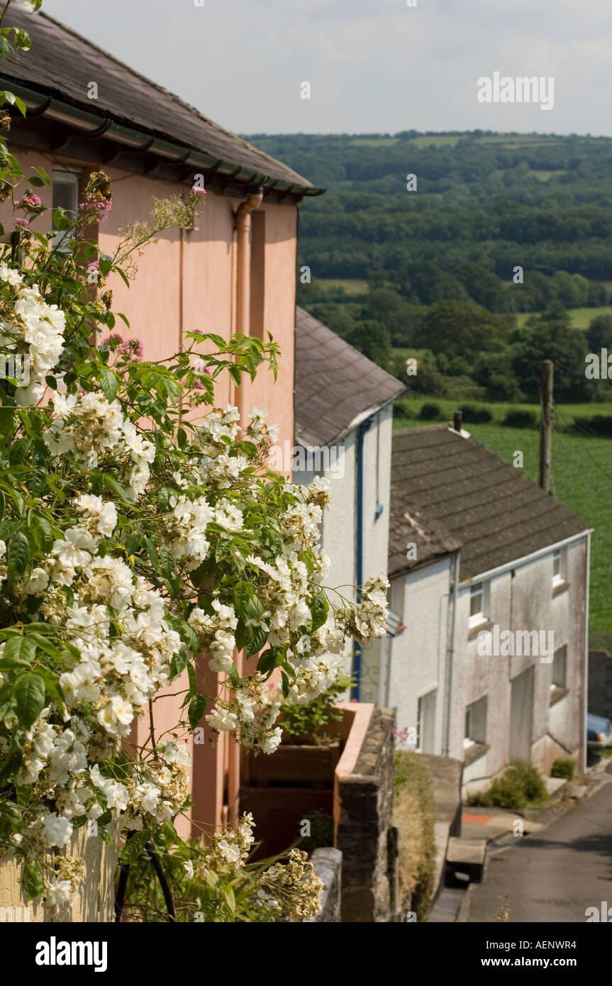Side street with flowers in Llandeilo Carmarthenshire looking down to the river Tywi valley Stock Photo
