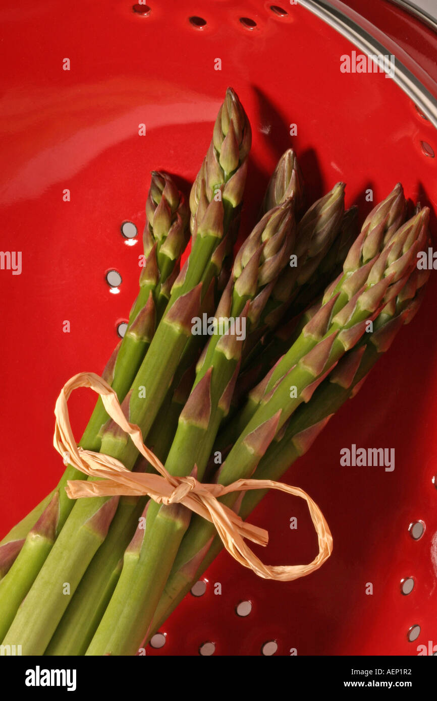 A bundle of Asparagus spears Stock Photo