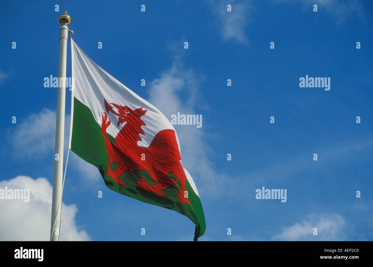 The Red Dragon on a field of green and white is the National flag of Wales Stock Photo