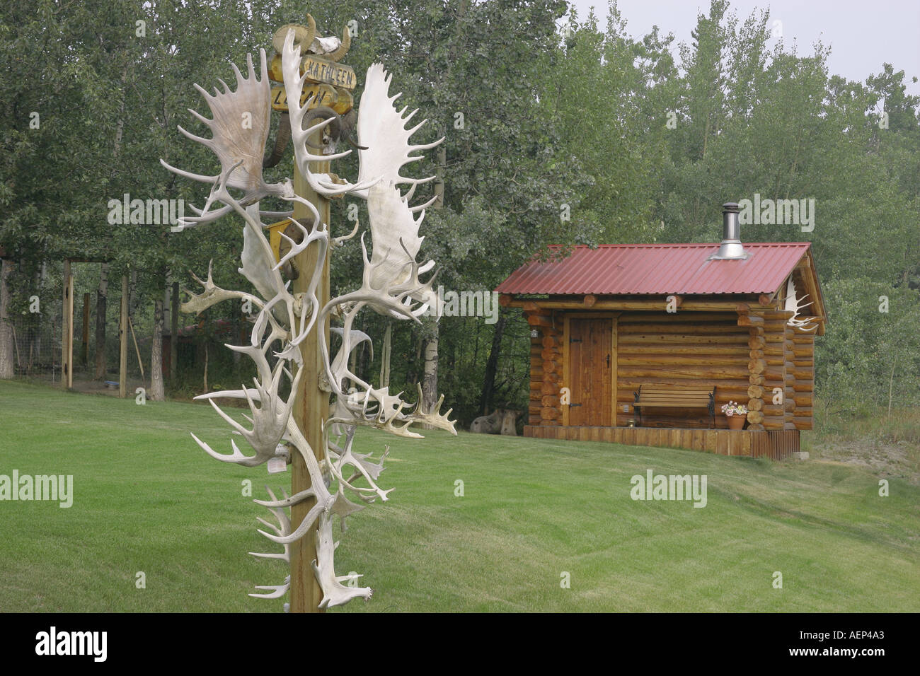moose antlers and a small log cabin Yukon Territory Canada Stock Photo