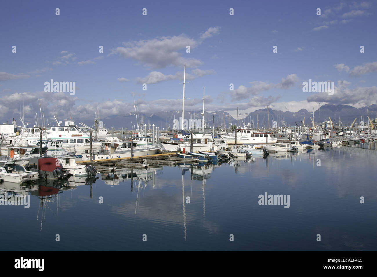 the small boat harbour at the Homer Spit Kenai peninsula Homer Alaska USA Stock Photo Alamy