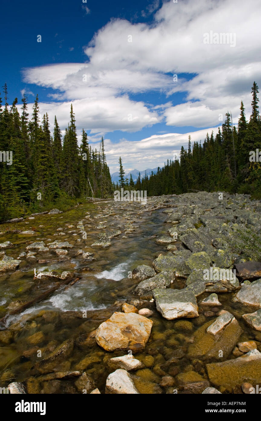 A rocky bottom on a Glacial Brook in the Canadian Rockies. Stock Photo