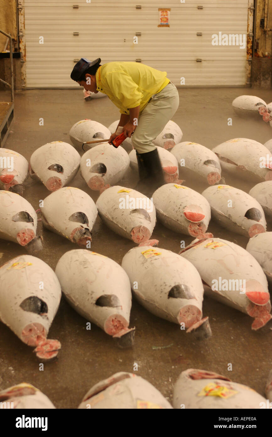 Japan Tokyo Tsukiji Fish Market Tuna Auction Stock Photo - Alamy