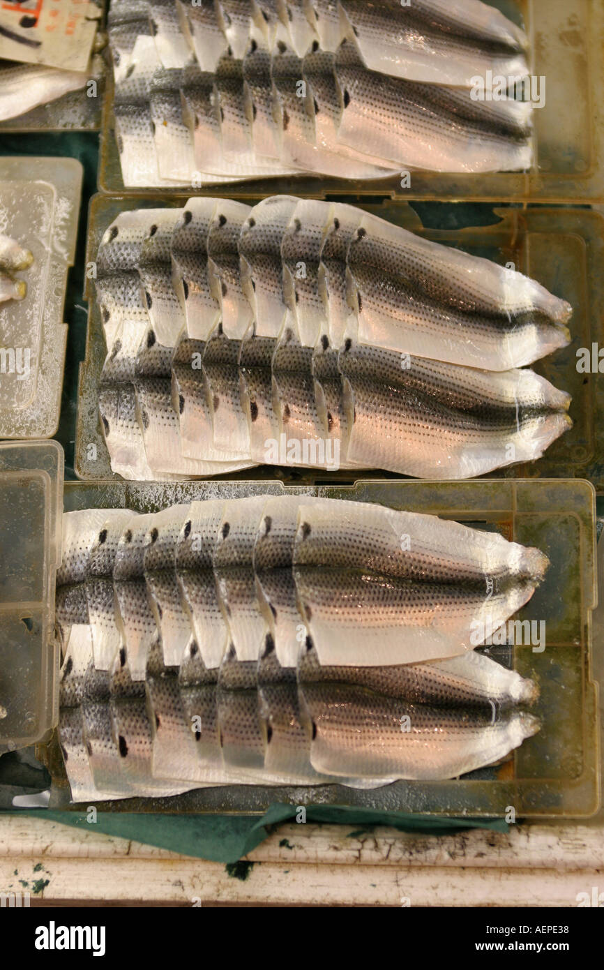 Tsukiji Fish Market Tokyo Japan Stock Photo - Alamy