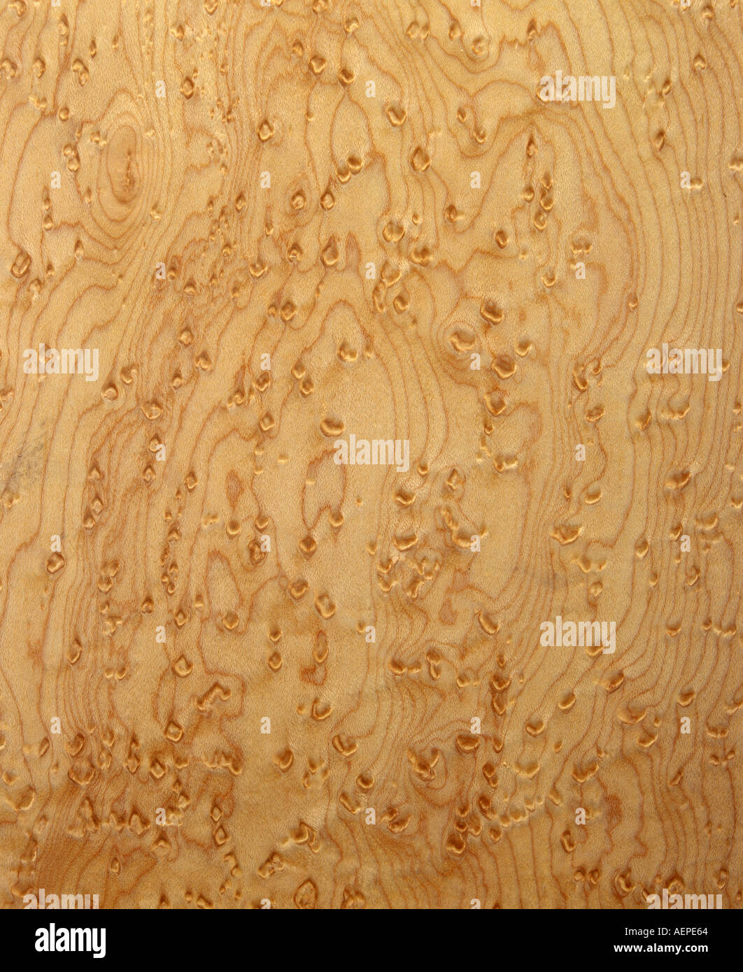 Birds eye maple wood Stock Photo Alamy