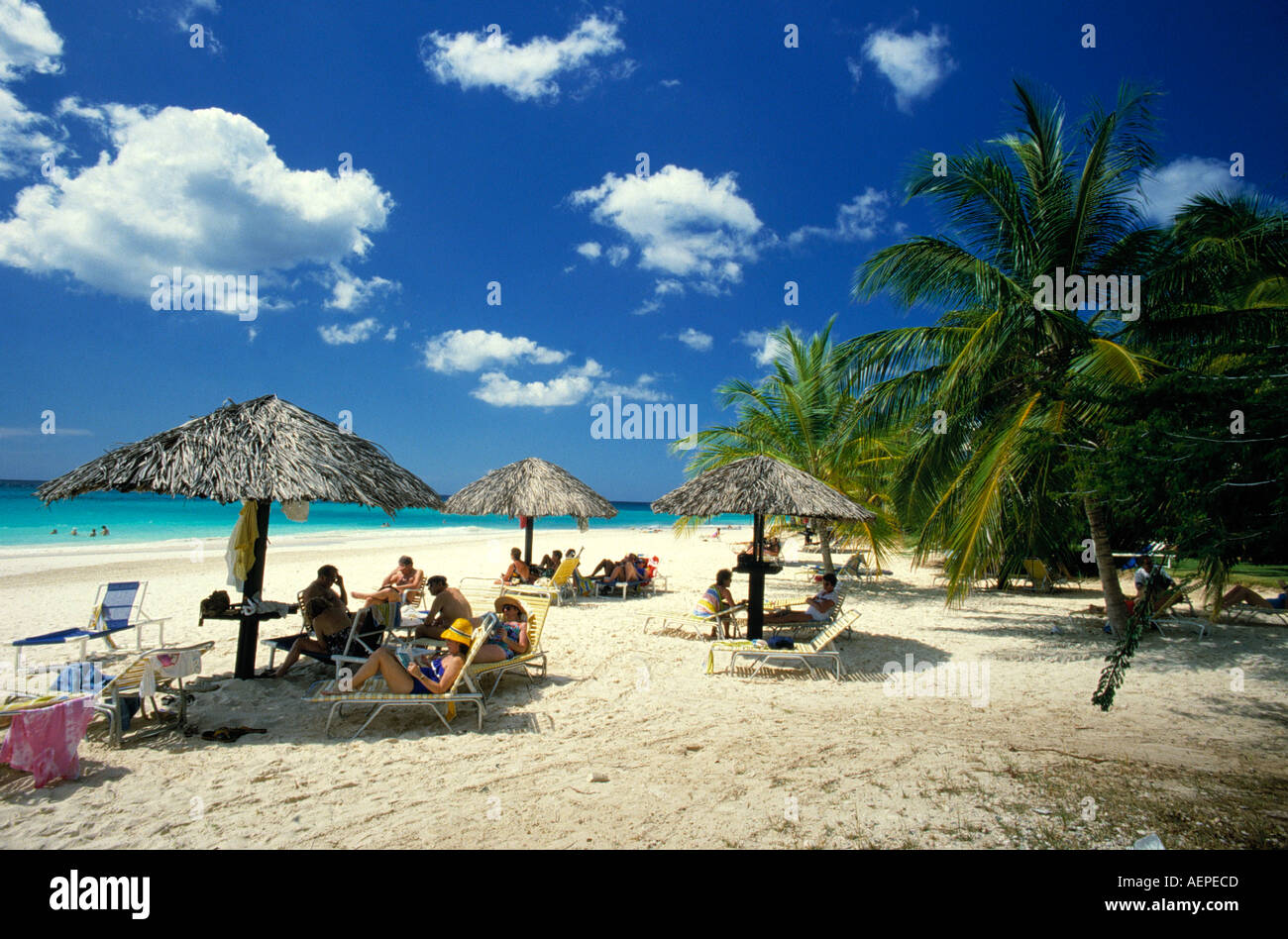 beachlife island of aruba islands of the netherlands antilles archipelago of the lesser antilles caribbean Stock Photo