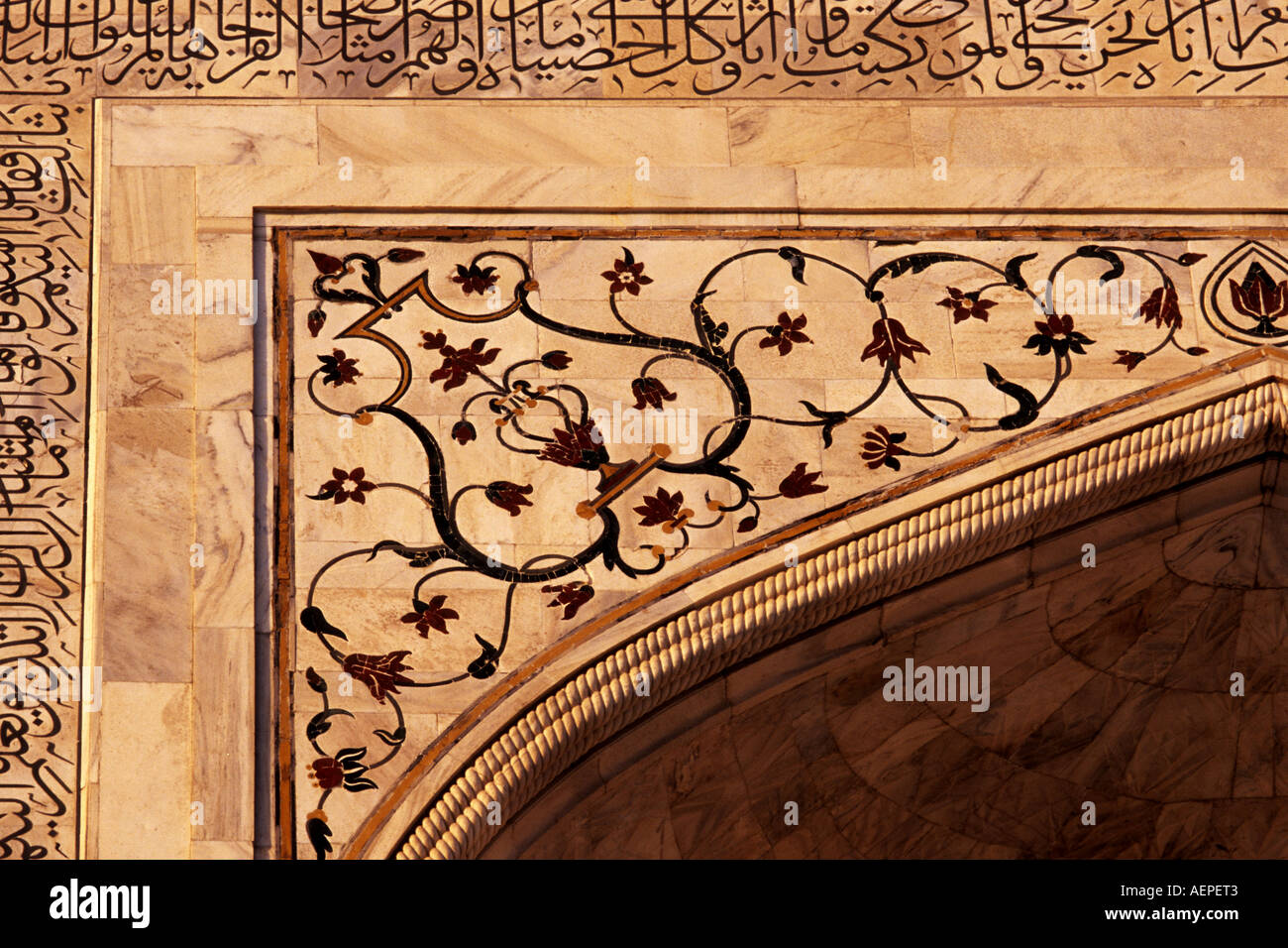 Detail of the Taj Mahal, Uttar Pradesh, India Stock Photo