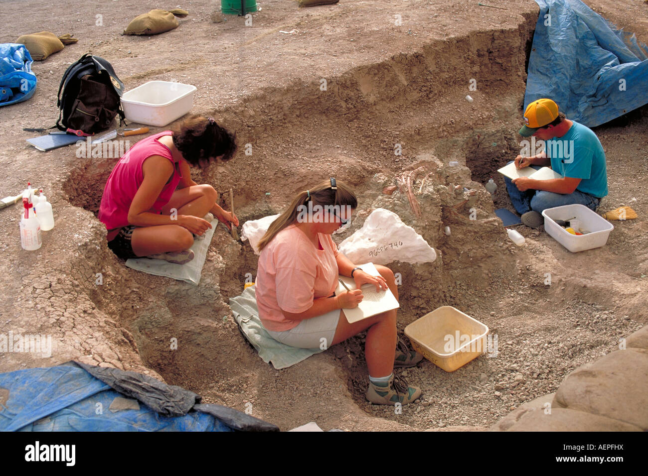Elk257 2091 South Dakota Badlands NP Big Pig dig paleontologists excavating Archaeotherium fossil pig Stock Photo