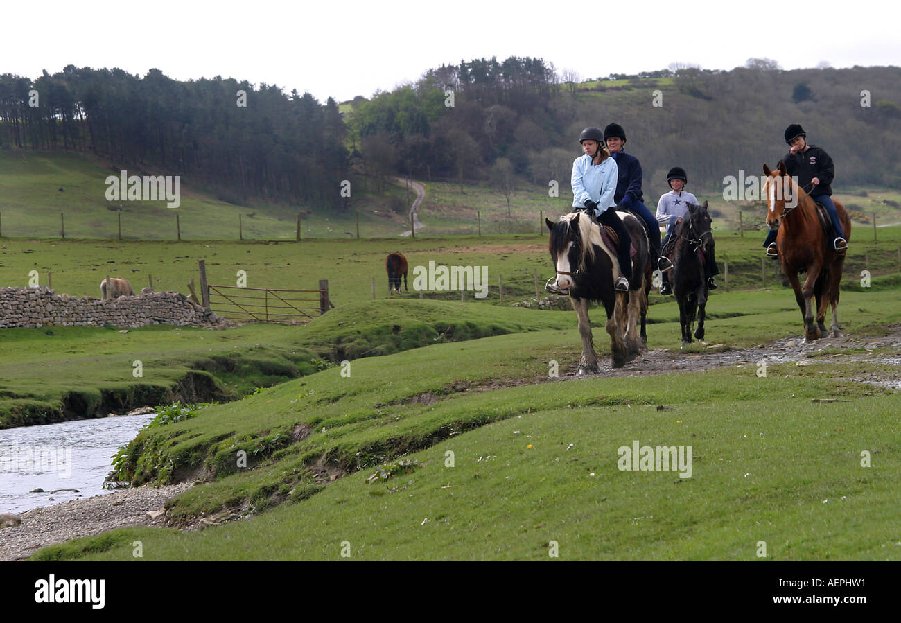 Horses ogmore river hires stock photography and images Alamy
