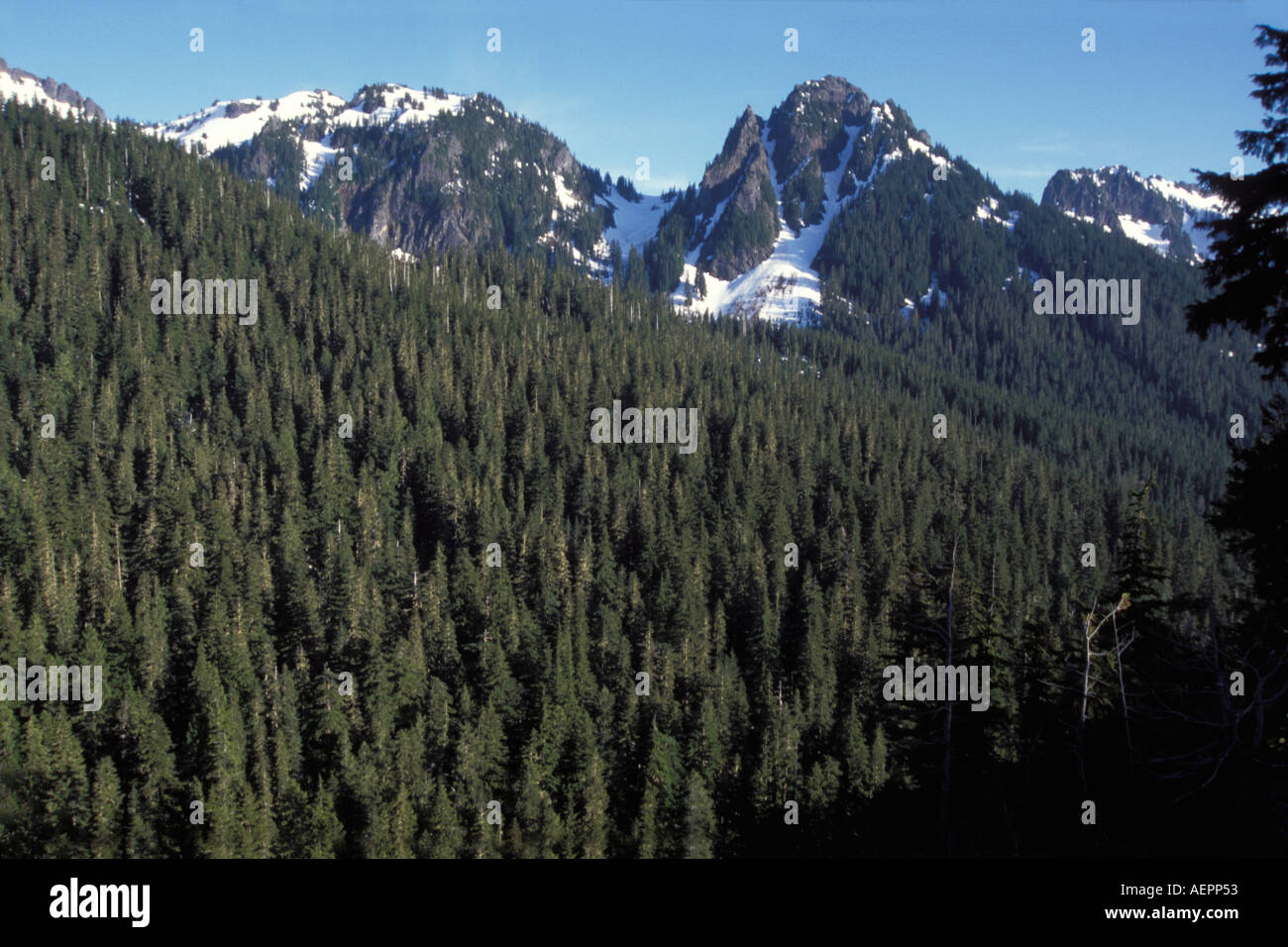 cascades mountain range in western Washington Stock Photo - Alamy