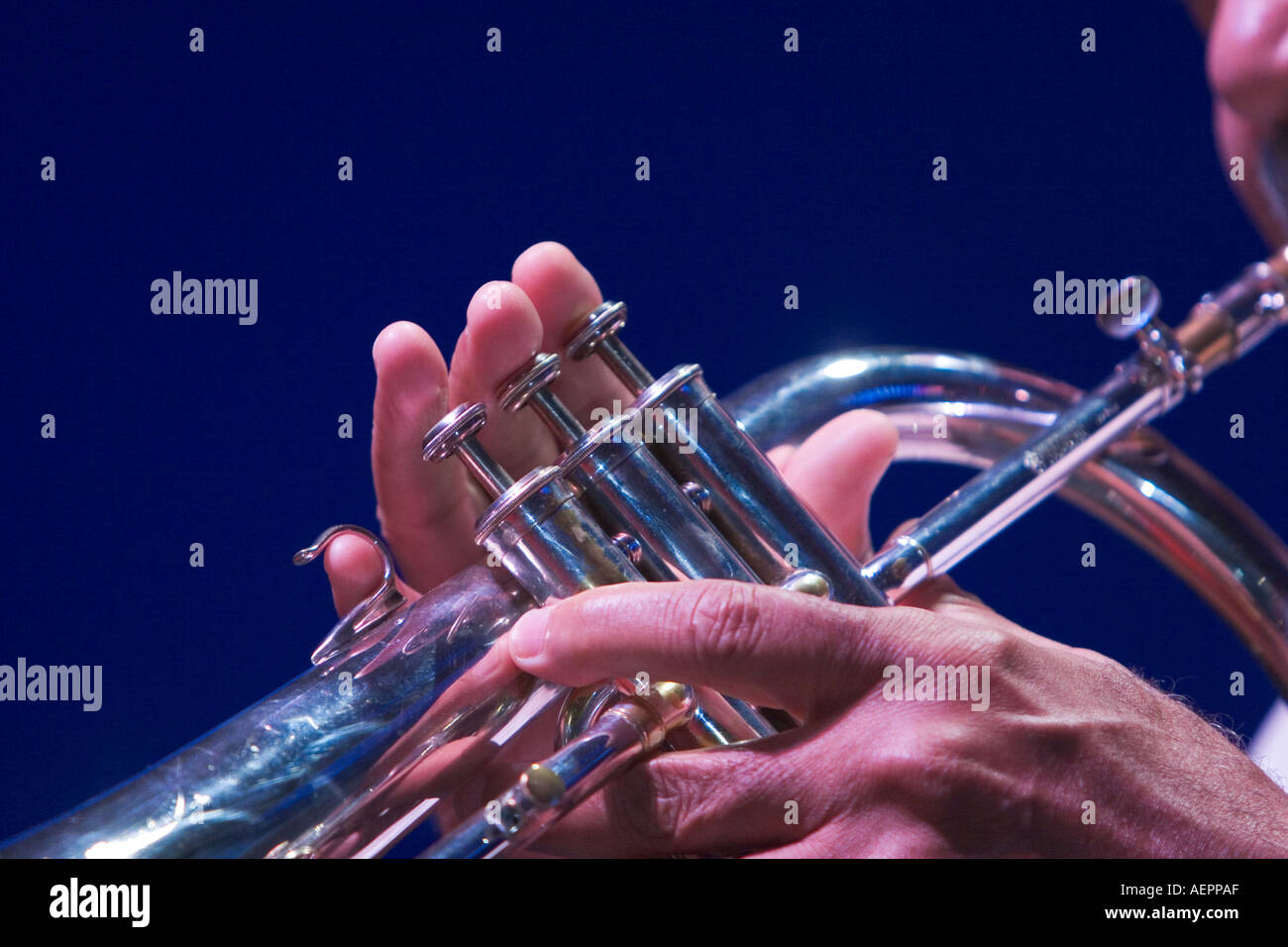African man playing trumpet hi-res stock photography and images - Alamy