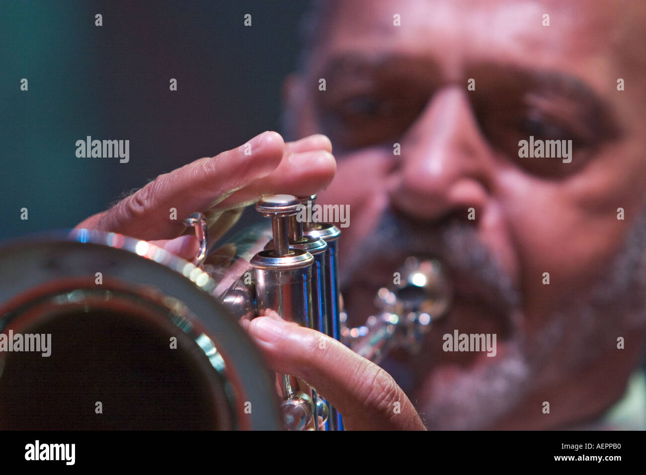 African man playing trumpet hires stock photography and images Alamy