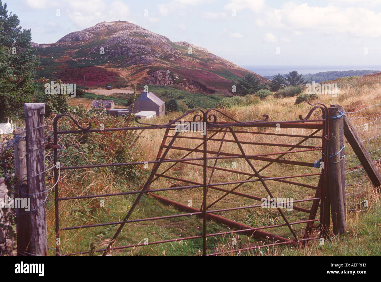 Farm on Mynydd Bodafon Anglesey North West Wales Stock Photo Alamy