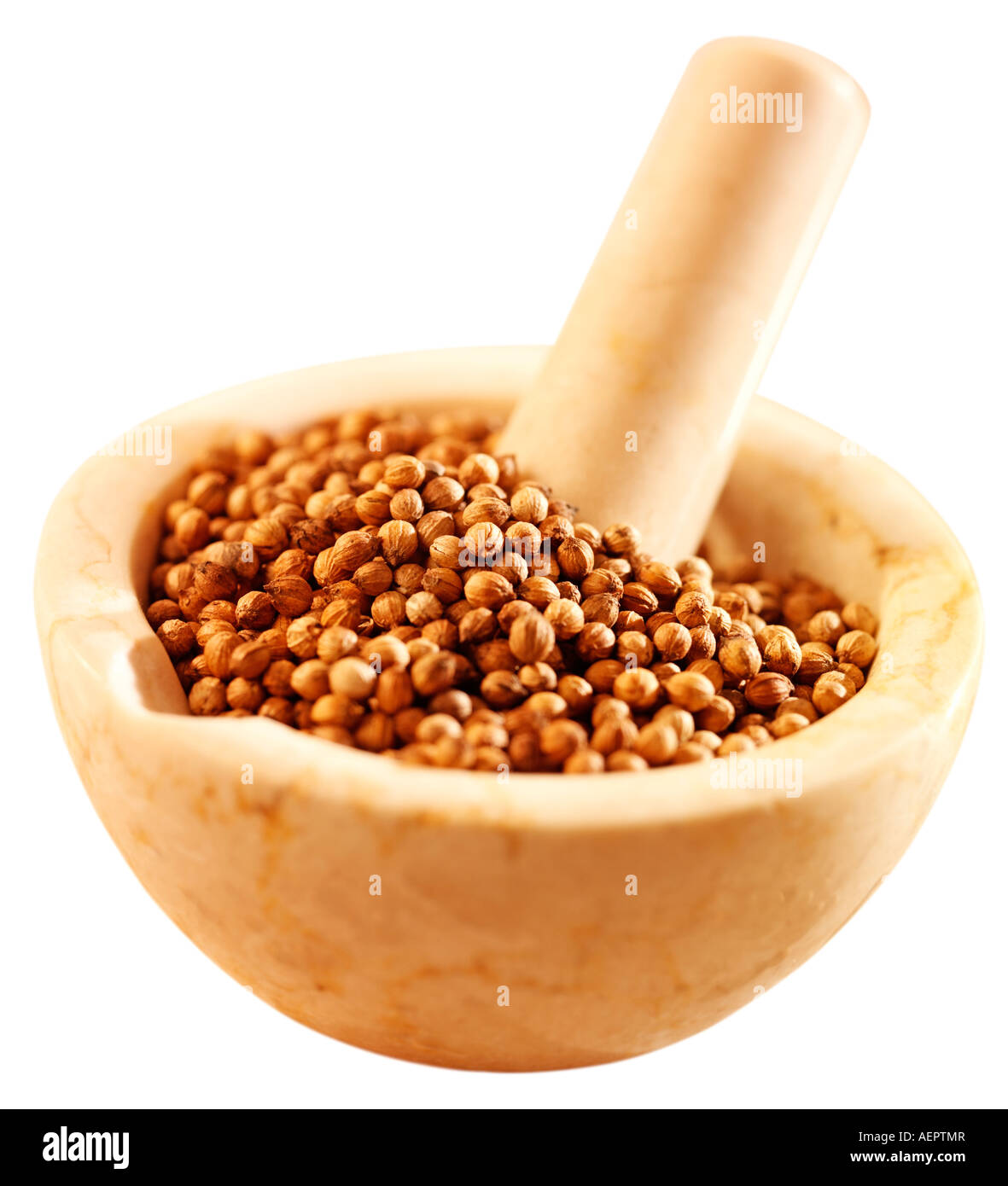 coriander-seeds-in-pestle-and-mortar-cut-out-stock-photo-alamy