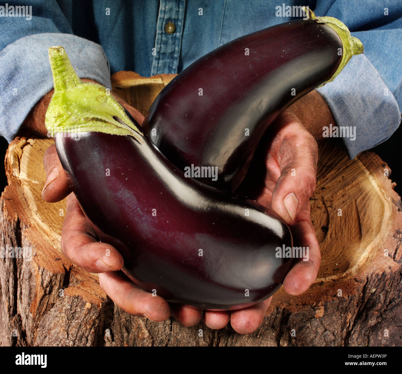 MAN HOLDING AUBERGINES,EGGPLANTS Stock Photo Alamy