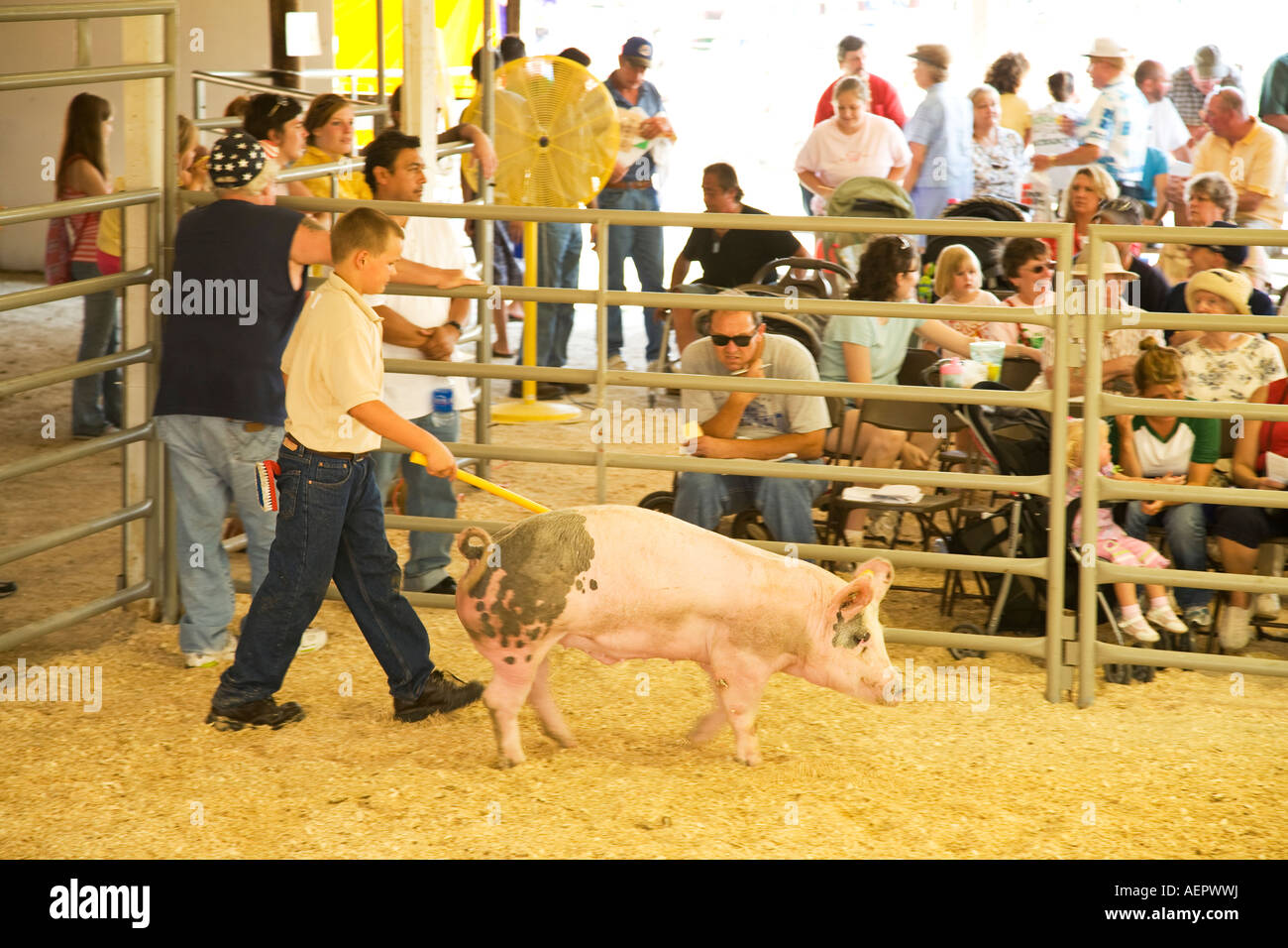 Livestock auction usa hires stock photography and images Alamy