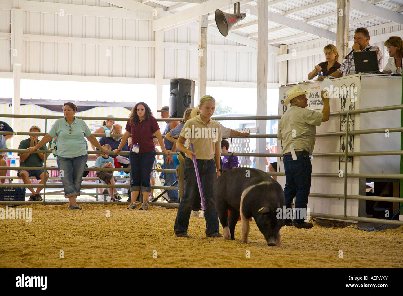 Livestock auction usa hires stock photography and images Alamy