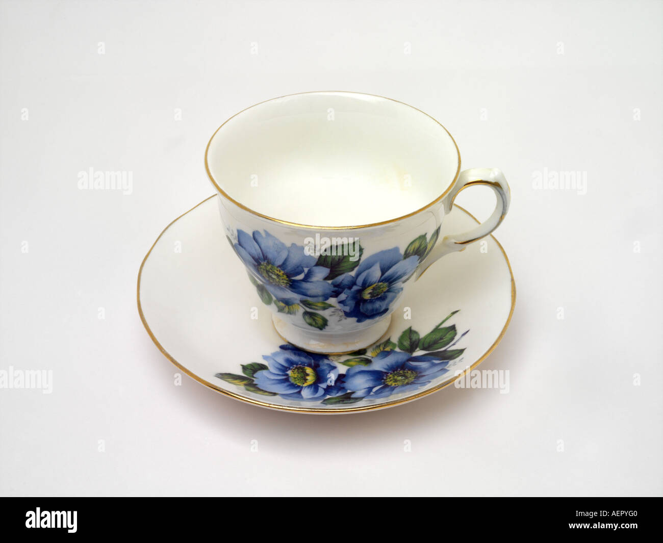 Cup and Saucer Bone China Stock Photo