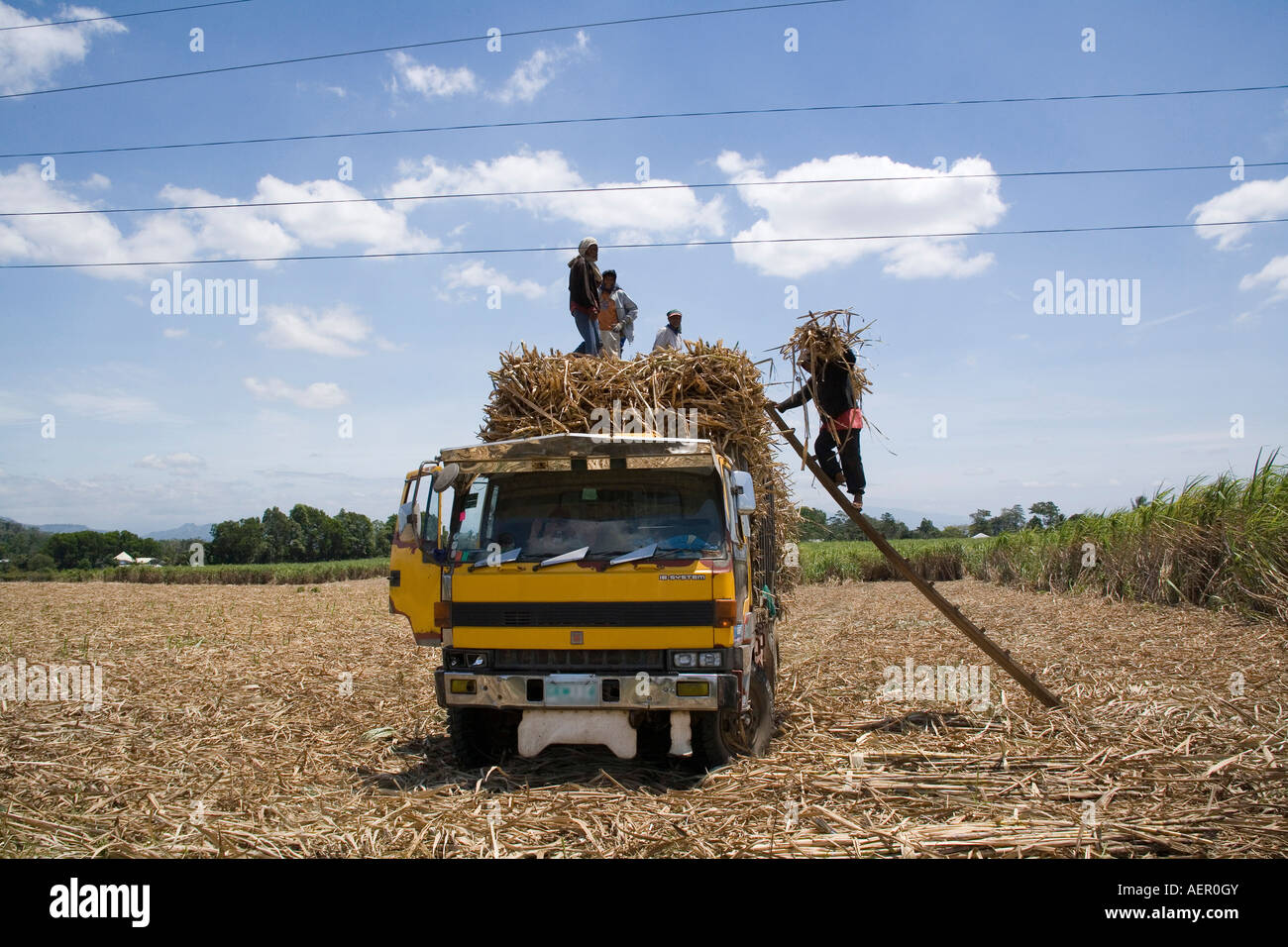Farmers harvesting sugarcane in Malaybalay, Bukidnon, Philippines Stock Photo