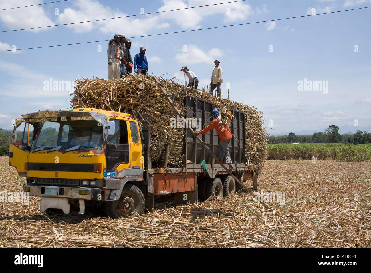 Farmers harvesting sugarcane in Malaybalay, Bukidnon, Philippines Stock Photo