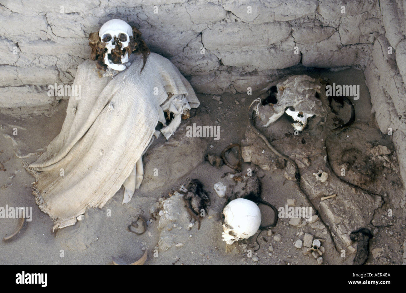 Mummified human remains at Chauchilla cemetery Nazca Peru South America Stock Photo